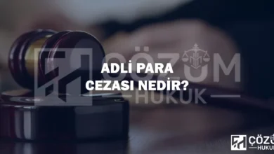 Adli Para Cezası Nedir? Nereye ve Nasıl Ödenir?